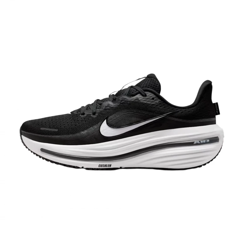 Кроссовки Nike Air Winflo 12 1