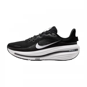 Кроссовки Nike Air Winflo 12 1