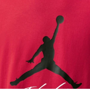 Jordan Jumpman Flight 0