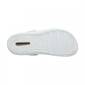 InMotion 5
