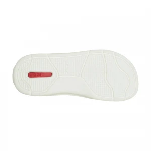 InMotion Flip 4