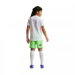 Erling Haaland Academy 4