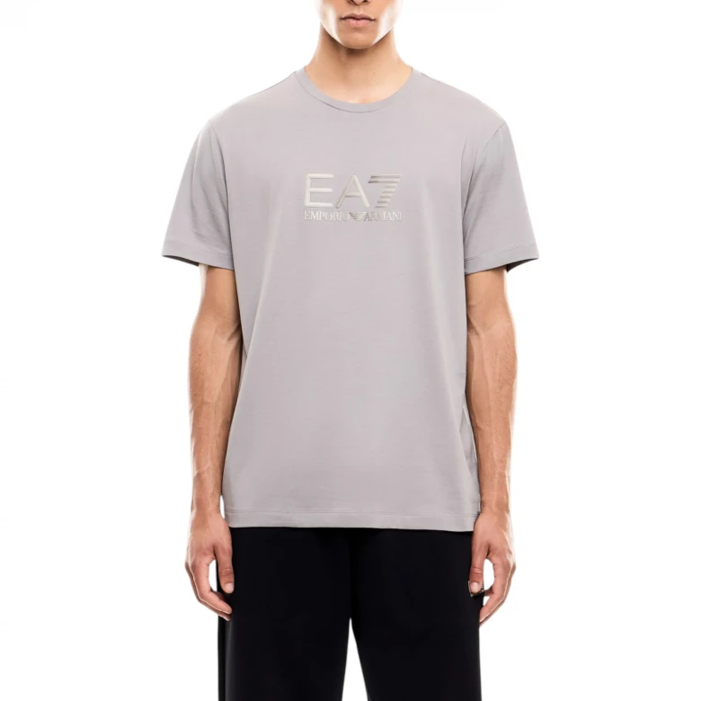 Train Lux M Tee Ss Big Logo Co