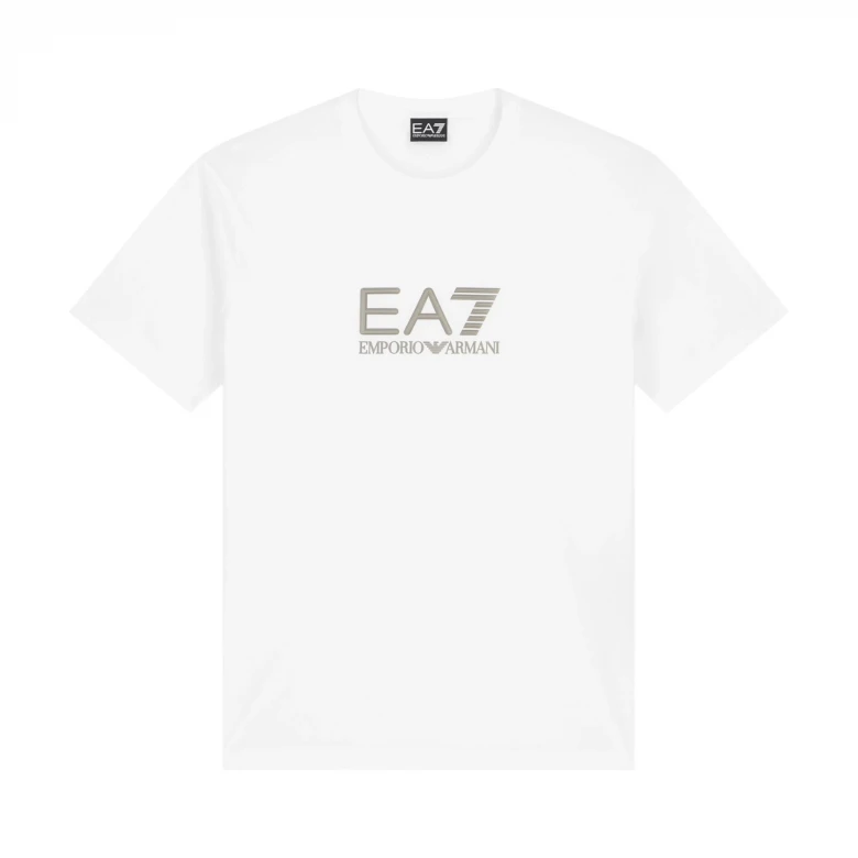 Train Lux M Tee Ss Big Logo Co 5