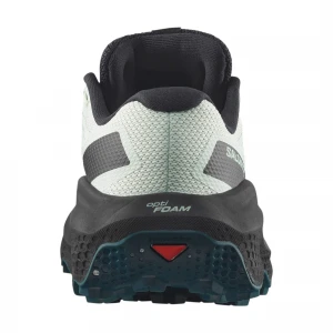 Ultra Flow 2 GORE-TEX 1