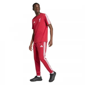Liverpool FC DNA 2