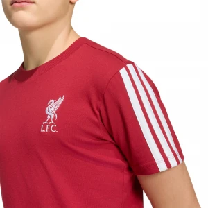 Liverpool FC 4