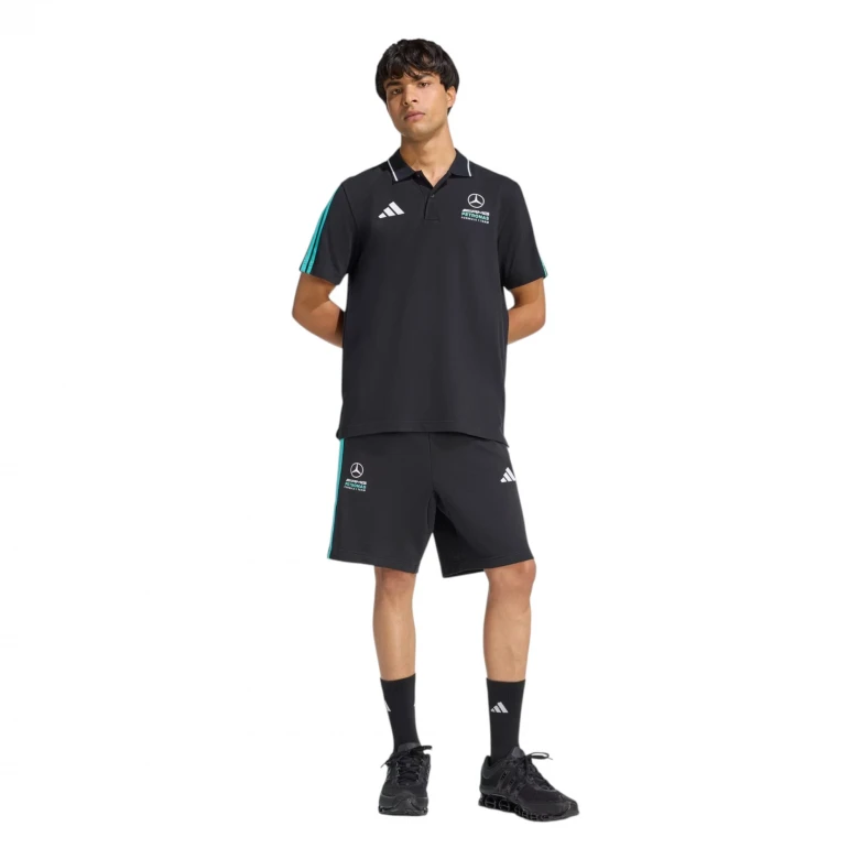Mercedes - AMG Petronas Formula 1 Team DNA 2