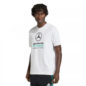 Mercedes - AMG Petronas Formula 1 Team DNA