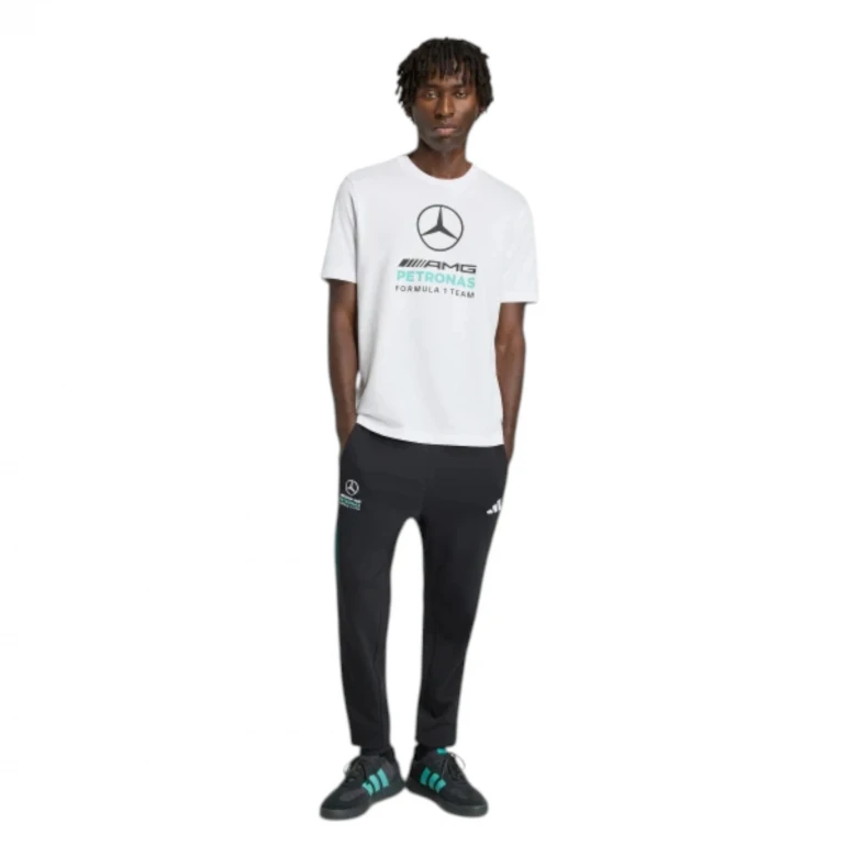 Mercedes - AMG Petronas Formula 1 Team DNA 1