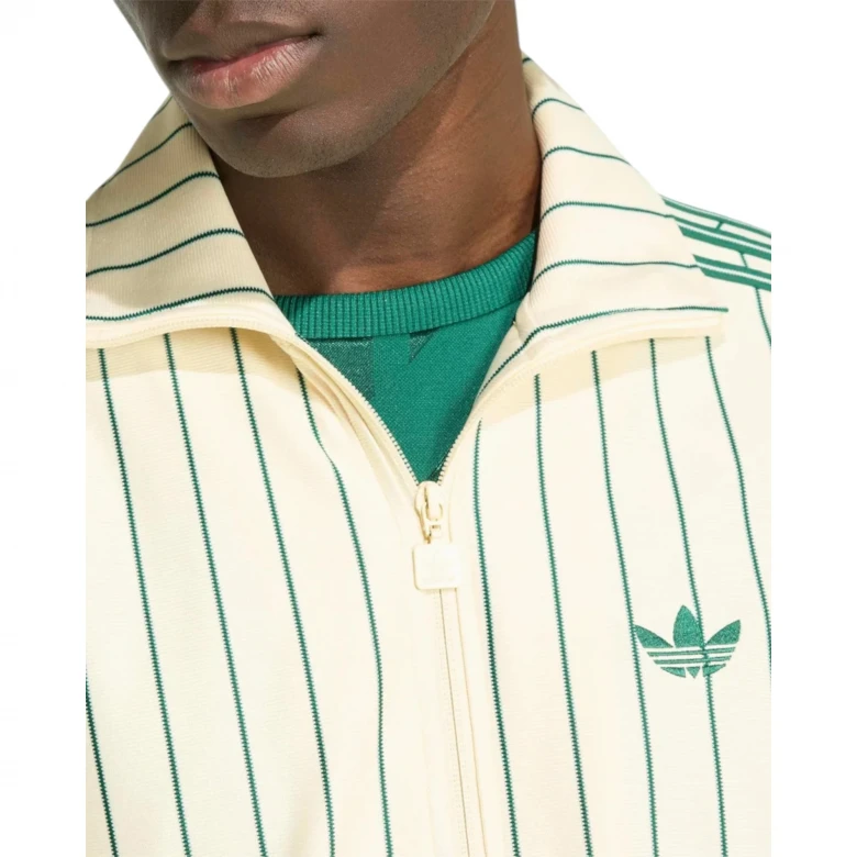 Firebird Pinstripes Striped 0