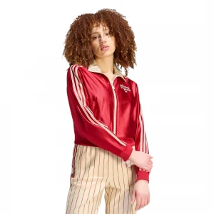 Reversible Firebird 5