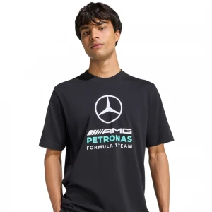 Mercedes - AMG Petronas Formula 1 Team DNA Graphic 0