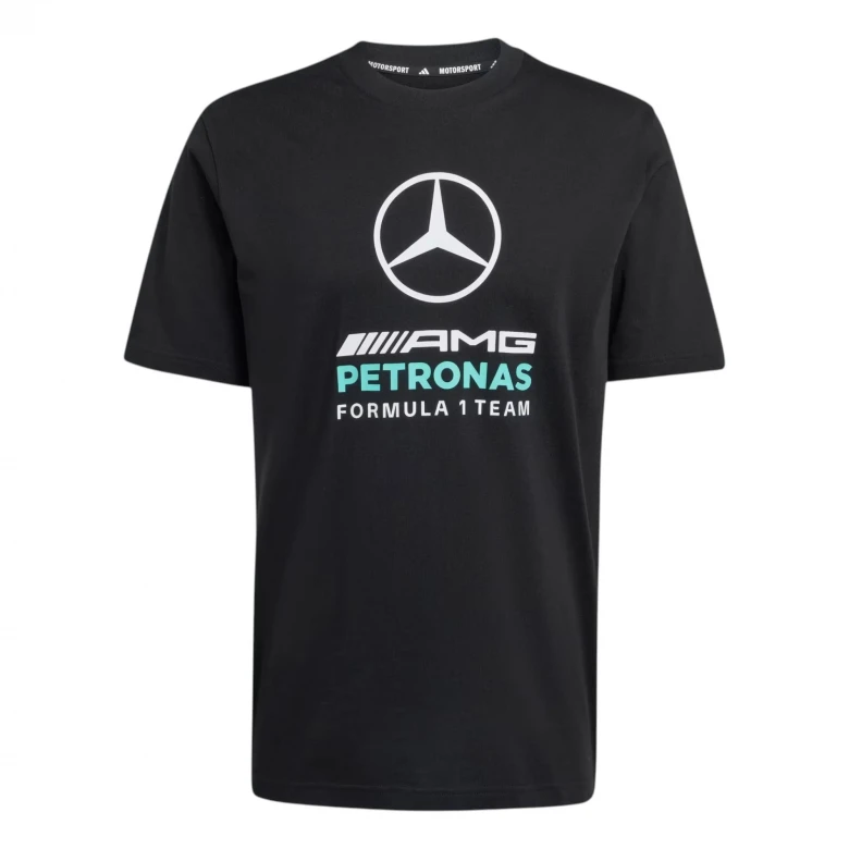 Mercedes - AMG Petronas Formula 1 Team DNA Graphic 2