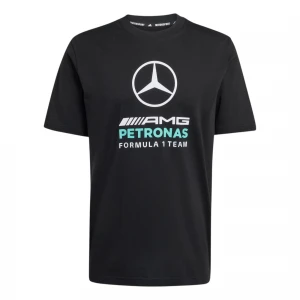 Mercedes - AMG Petronas Formula 1 Team DNA Graphic 2