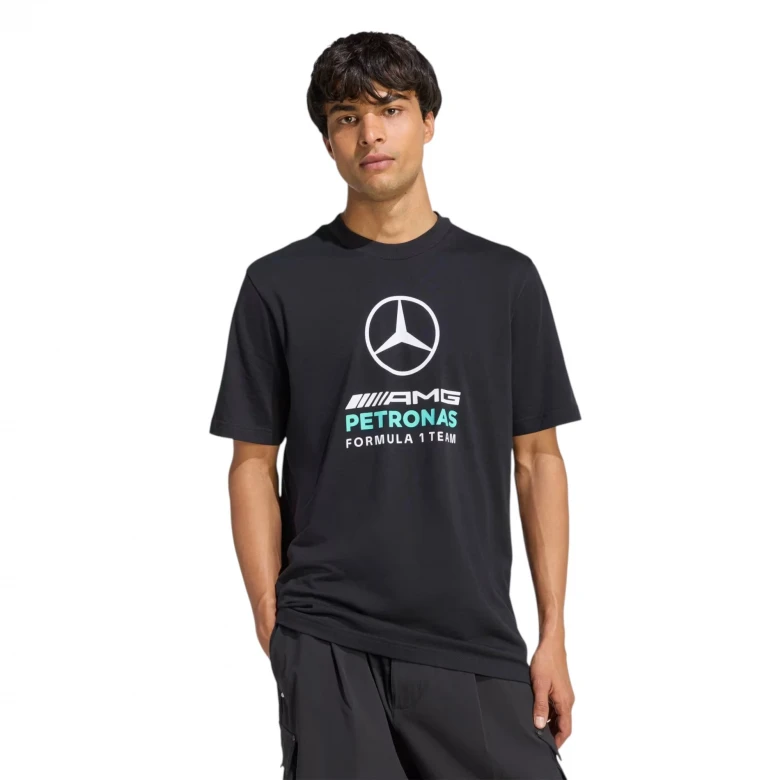 Mercedes - AMG Petronas Formula 1 Team DNA Graphic