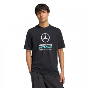 Mercedes - AMG Petronas Formula 1 Team DNA Graphic