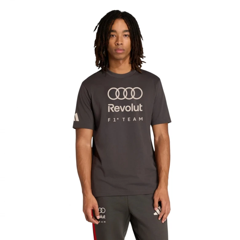 Audi Formula One Team DNA Graphic