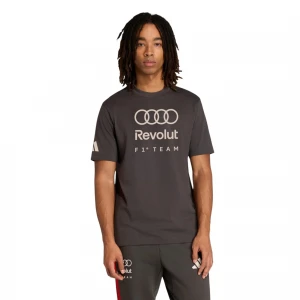 Audi Formula One Team DNA Graphic