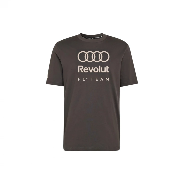 Audi Formula One Team DNA Graphic 0