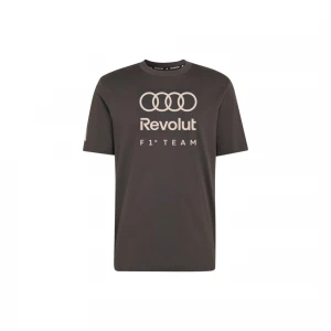 Audi Formula One Team DNA Graphic 0
