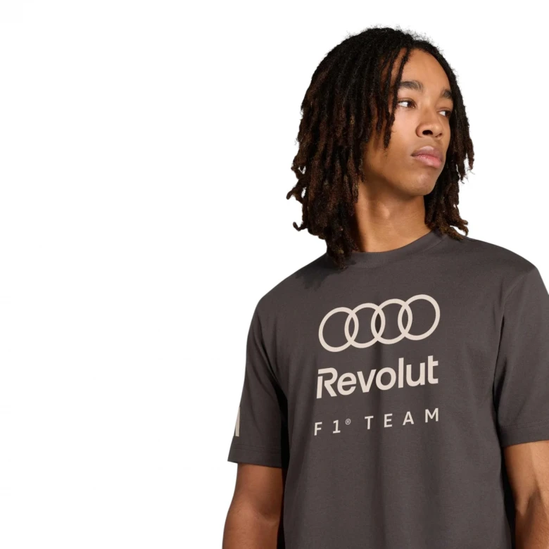 Audi Formula One Team DNA Graphic 3