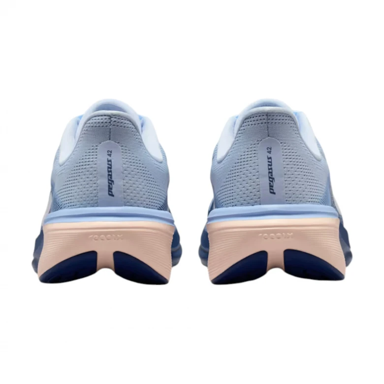 Pegasus 42 3