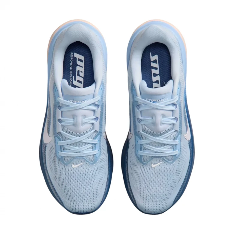 Pegasus 42 2