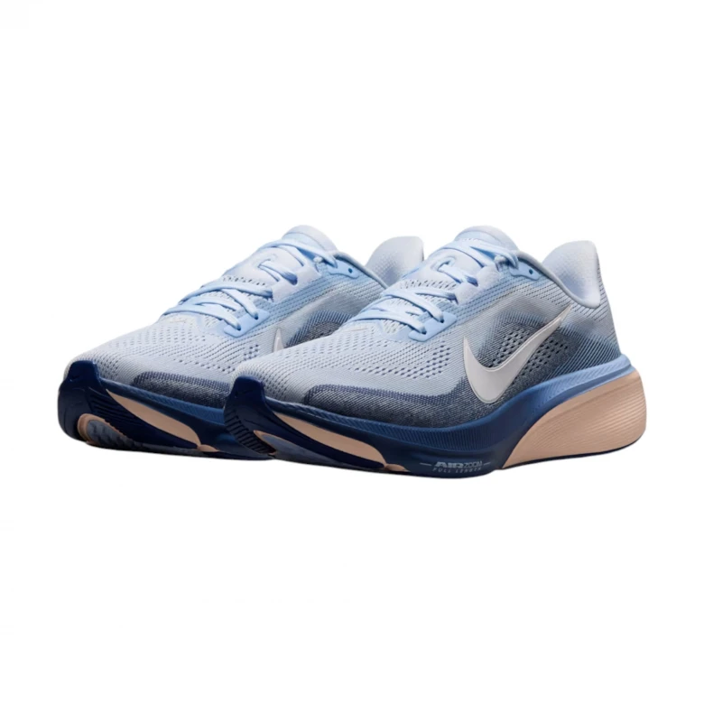 Pegasus 42 1