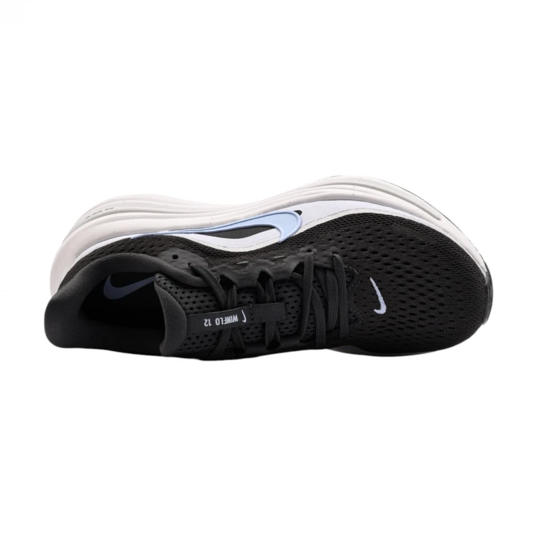 Air Winflo 12 0