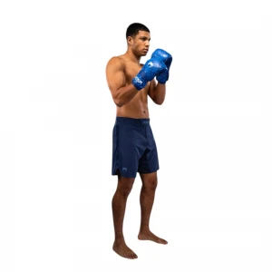 Light 5.0 Fightshorts 0
