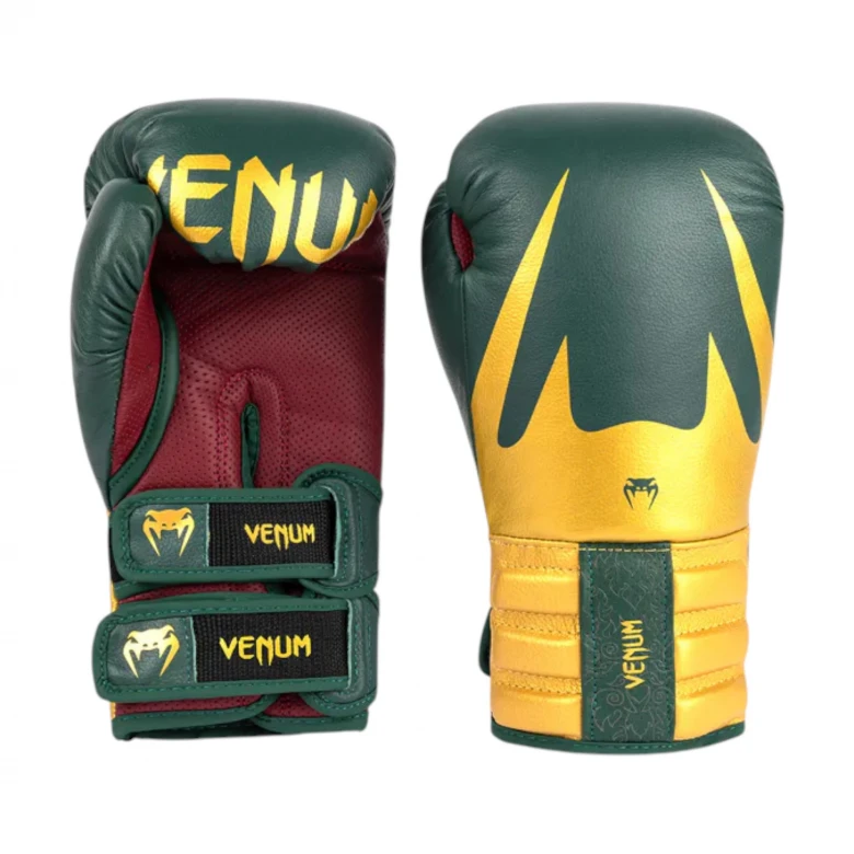Reverso Boxing Gloves