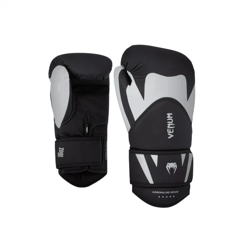 Challenger 4.0 Boxing Gloves 1
