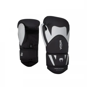 Challenger 4.0 Boxing Gloves 1