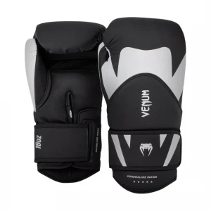 Challenger 4.0 Boxing Gloves
