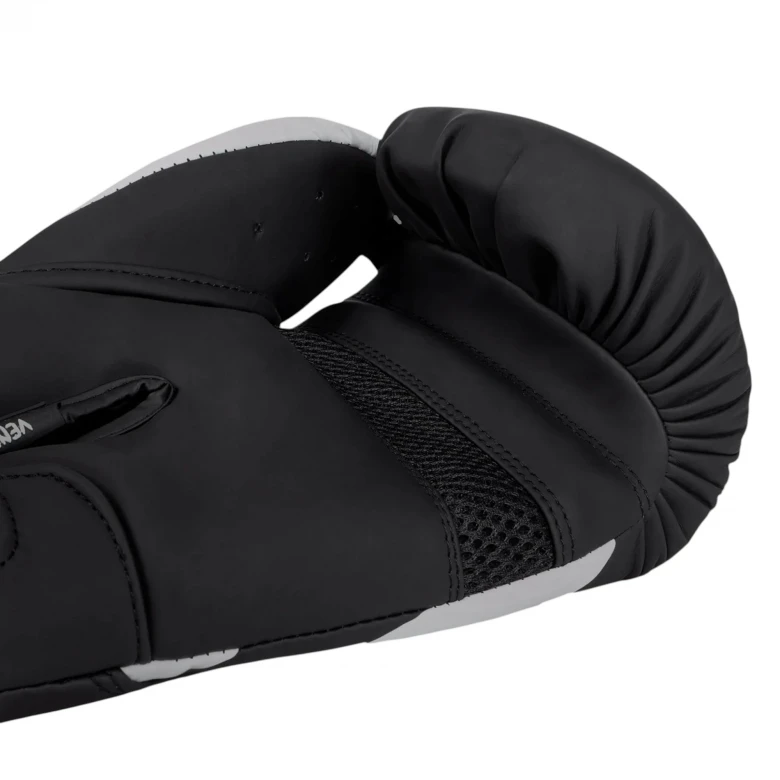 Challenger 4.0 Boxing Gloves 0