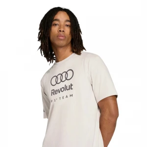 Audi Formula One Team DNA Graphic 1