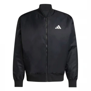 Stadium Bomber 1