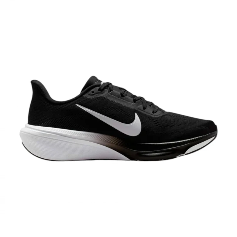 Pegasus 42