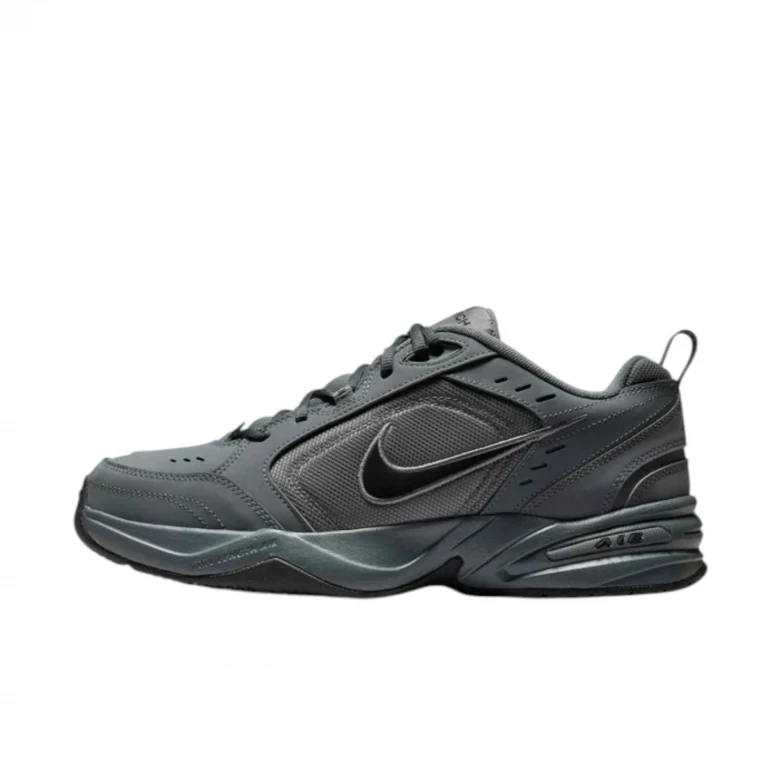 Air Monarch IV 4