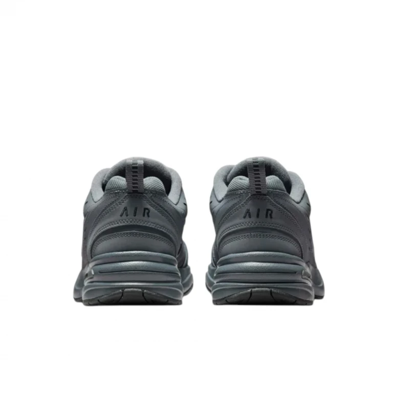 Air Monarch IV 3