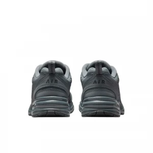 Air Monarch IV 3