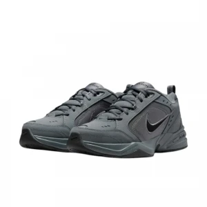 Air Monarch IV 1