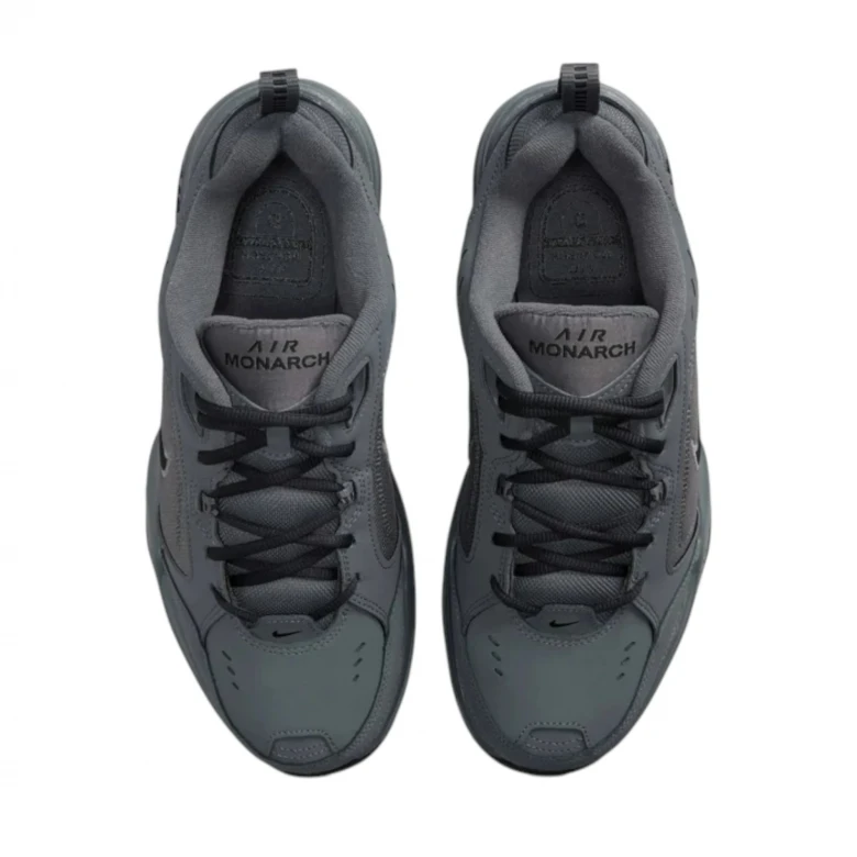 Air Monarch IV 2
