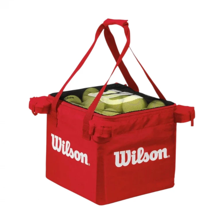 Teaching Cart Red Bag