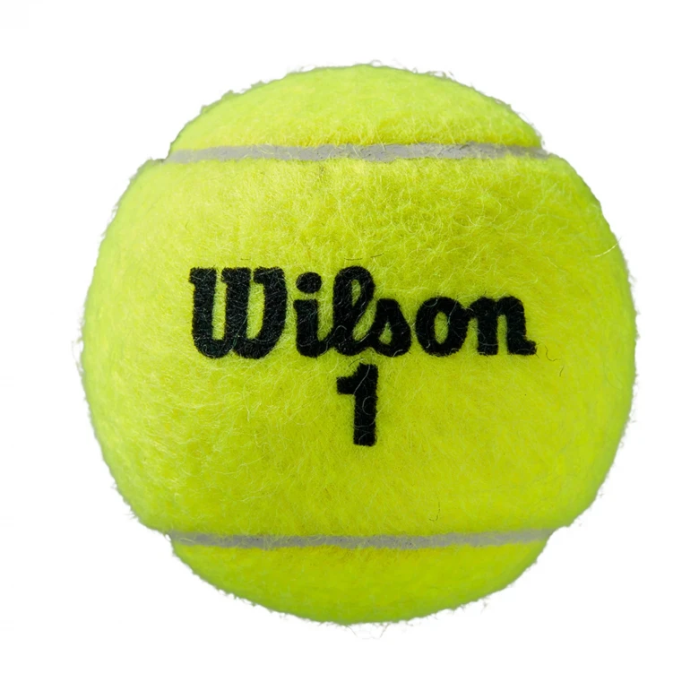 Roland Garros All Ct 4 Ball 1