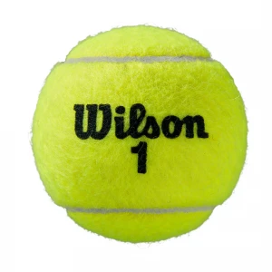Roland Garros All Ct 4 Ball 1