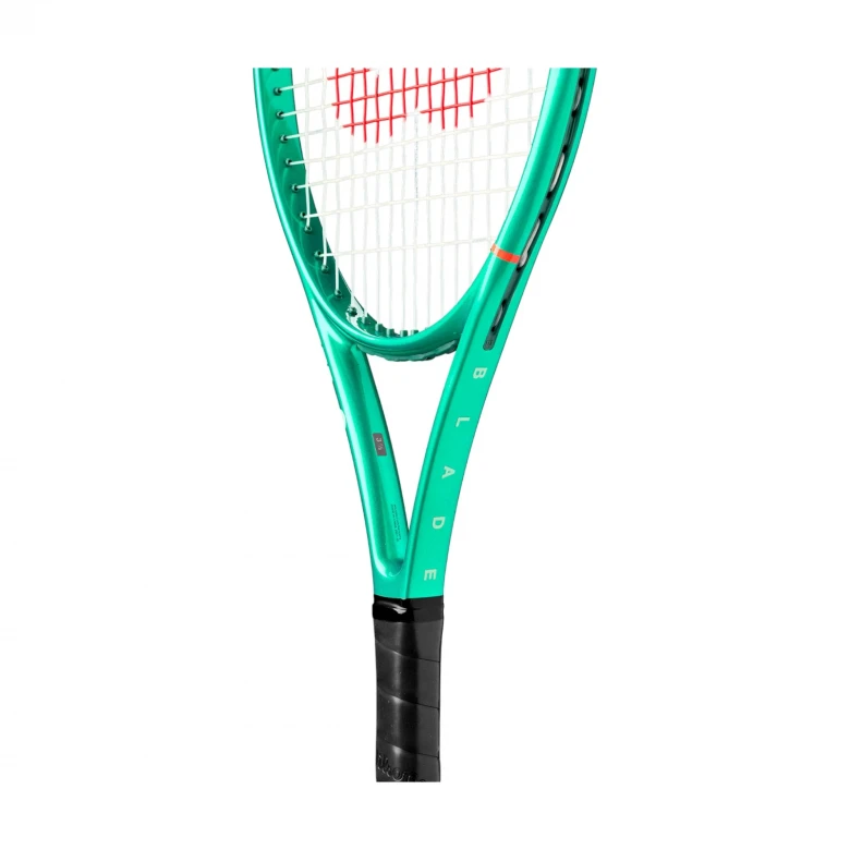 Blade 25 V10 1