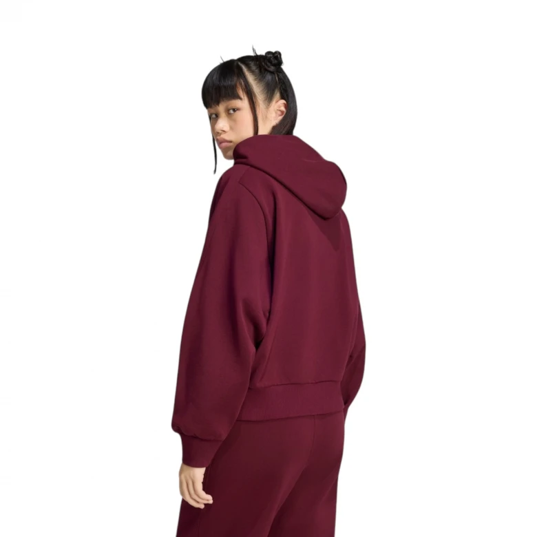Kit Small Logo Full-Zip Hoodie 2