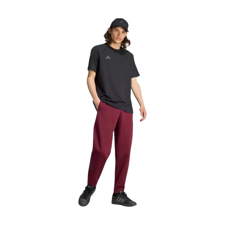 Z.N.E. Pant 2